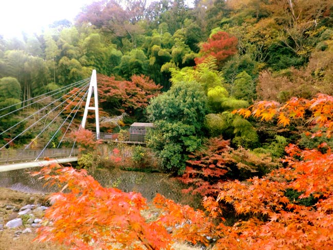 神奈川県の箱根・塔之沢温泉の「鶴井の宿　紫雲荘」