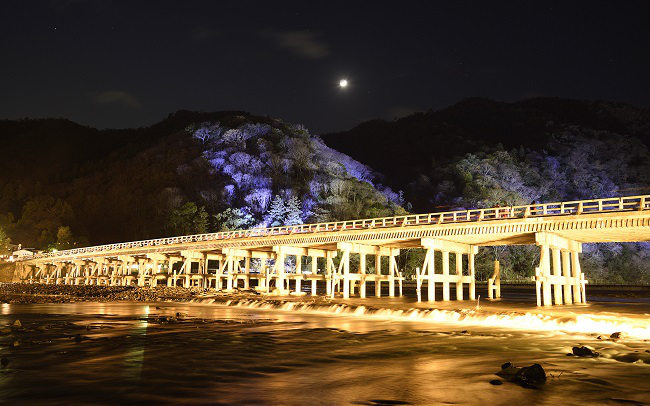 灯りと花で日本情緒豊かに京都・嵐山花灯路