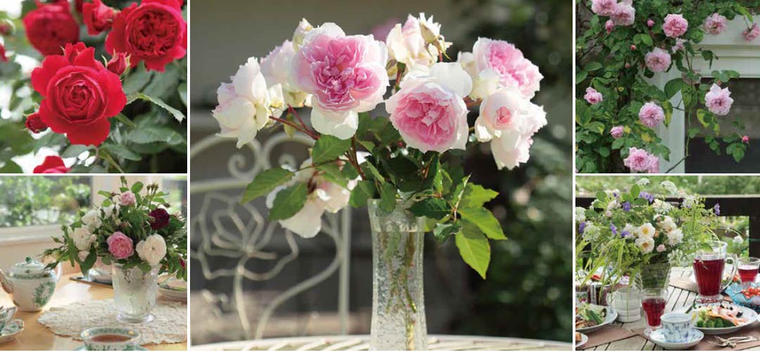 甘い香りに癒されるバラの庭園が池袋に！ロマンティックなガーデン「バラぐらし」イベント開催／西武池袋本店