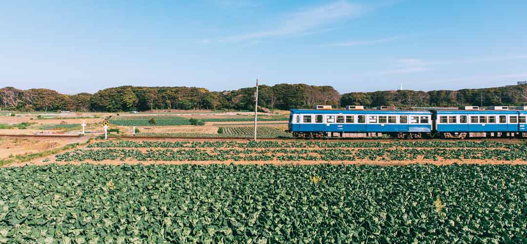 【電車旅】電車でトコトコ行く、夏のローカル旅_OZmagazine TRIP