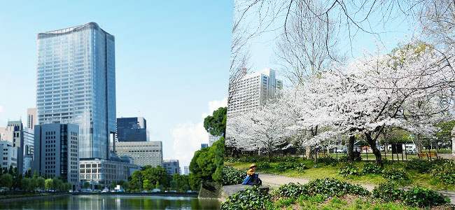 東京ミッドタウン日比谷のお花見