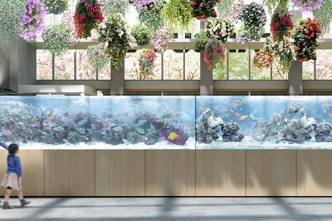エンタメ植物園「HANA BIYORI」アクアリウム×花　水槽展示