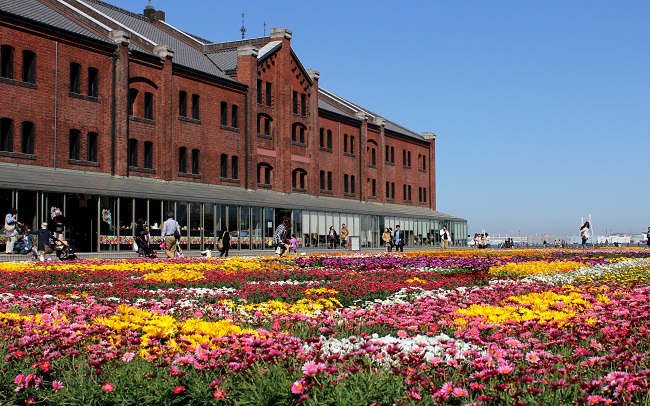 横浜赤レンガ倉庫で春のお花を満喫しよう