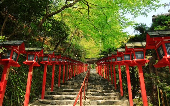 今だけ！京都で新緑の絶景と特別な御朱印