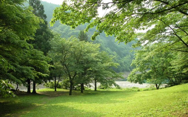 森林浴　東京都立奥多摩湖畔公園　山のふるさと村