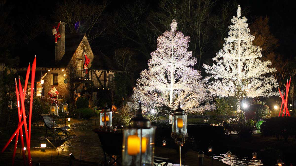 箱根ガラスの森美術館の「クリスタル・イルミネーション」。15万粒のクリスタルガラス輝くクリスマスツリー