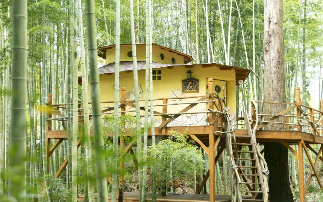 竹林に佇むツリーハウスやアニマルテントにくぎ付け The Bamboo Forest
