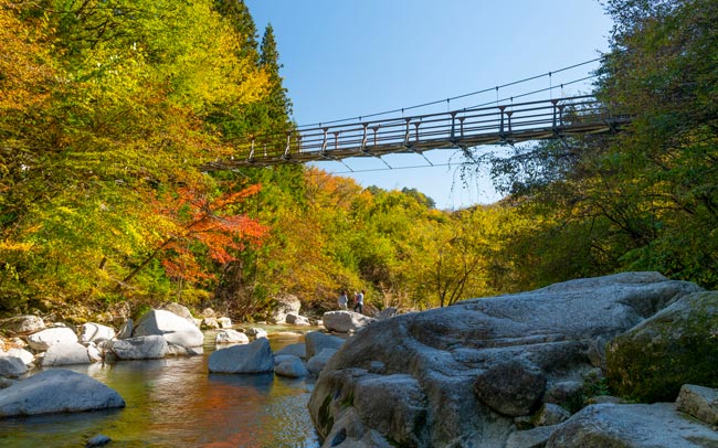 ワイン、日本酒、ビール、焼酎、ソーセージ、ハム、ふるさと納税、北杜市、山梨県