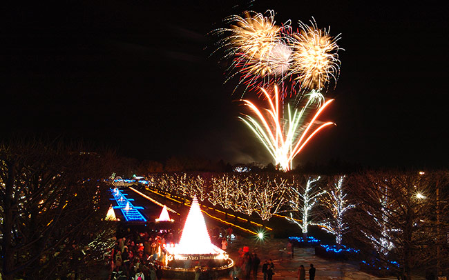 昭和記念公園でイルミとともに冬花火を鑑賞
