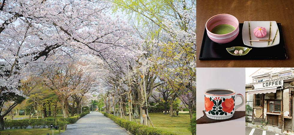 桜の季節になったらぜひトライ！日帰り京都旅のススメ。