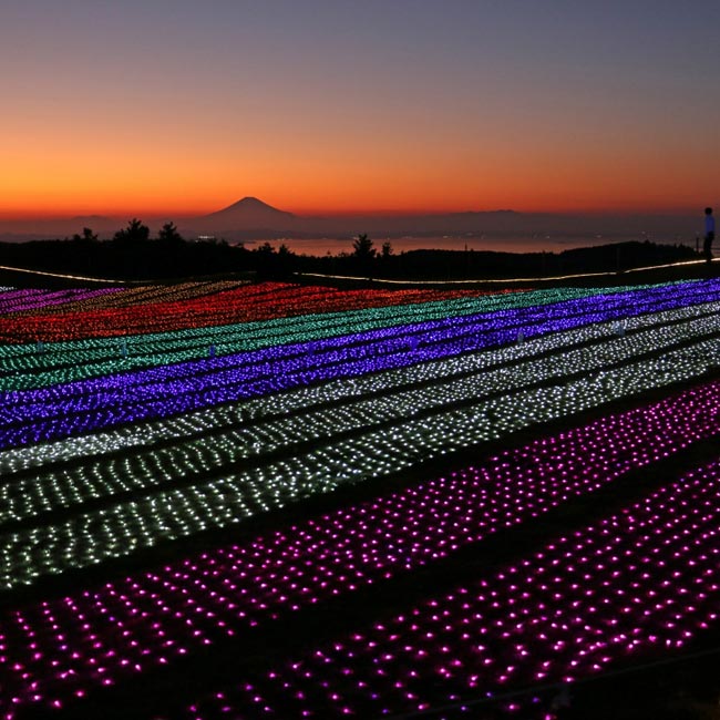 富士山を背景に楽しむイルミネーション