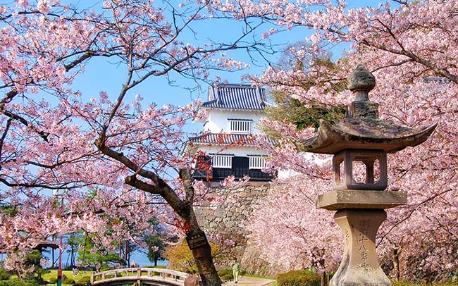 「日本橋 長崎館」で春の長崎旅を計画！