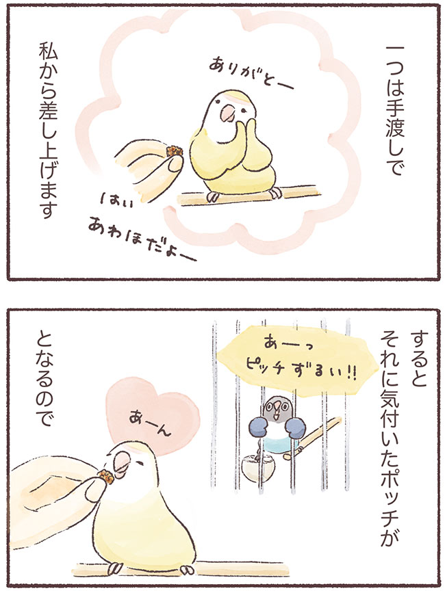 うちのインコたちは今日もおしゃべり3話4P