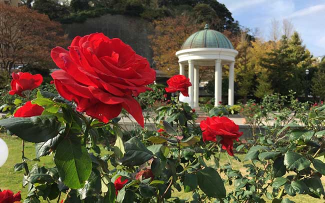 神奈川：ヴェルニー公園