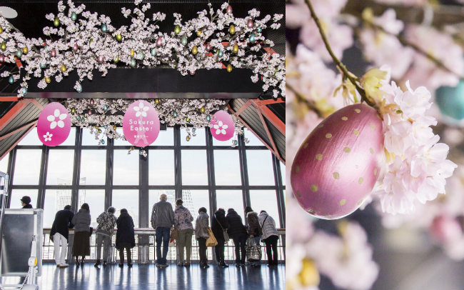 333個のかわいらしいエッグと桜で春の訪れをお祝い