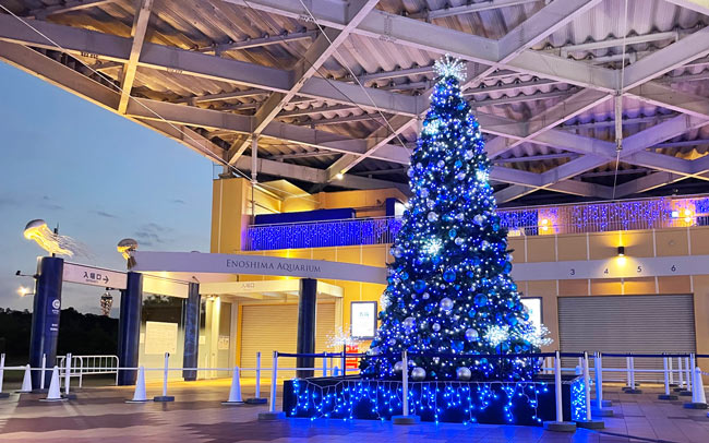 新江ノ島水族館「えのすいクリスマス」