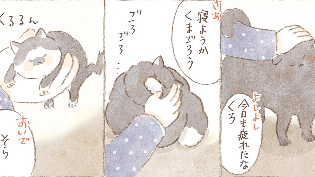 深夜3時のくろねこ喫茶【第1話-1】｜猫しかいない喫茶店　メイン画像pc