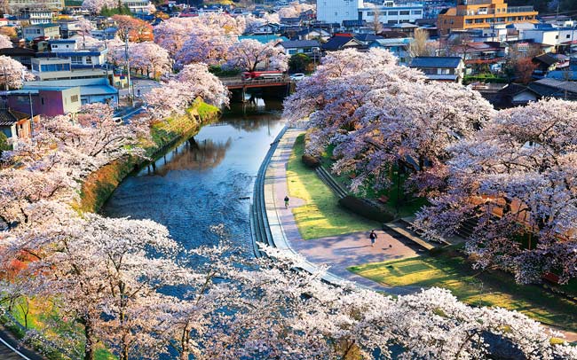 絶景の桜を満喫！福島県・石川町で週末旅