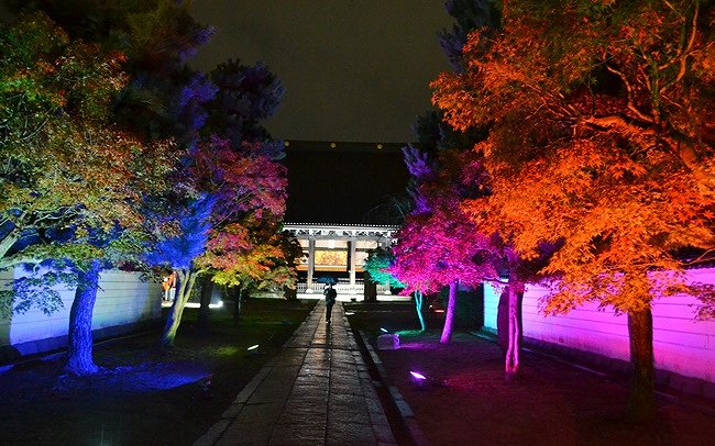 妙顕寺の紅葉ライトアップ