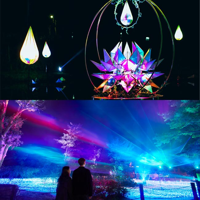 上）静かな湖面に浮かぶ光輝く蓮の花「クリスタルレイク」　下）幻想的オーロラショー「オーロラエクスペリエンス」