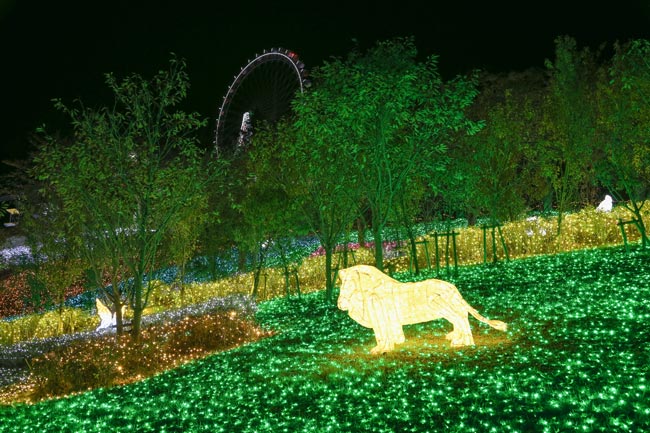 生い茂る樹木とイルミネーションで動物たちが棲む森を表現した、光の動物園
