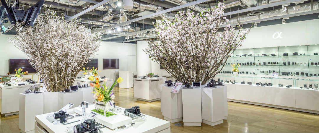 銀座の新ランドマーク「GINZA PLACE」でひと足早いお花見体験