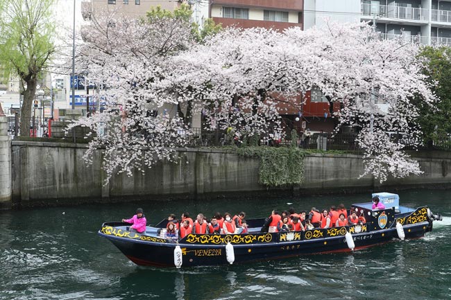 2017年4月～5月　横浜のイベント＆フェス　ＴＯＰＩＣ