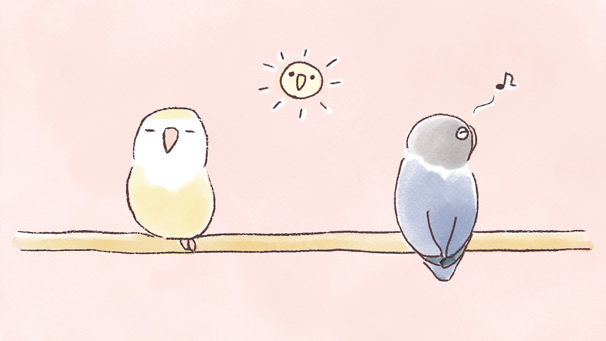 うちのインコたちは今日もおしゃべり【第4話】おひさまパワー