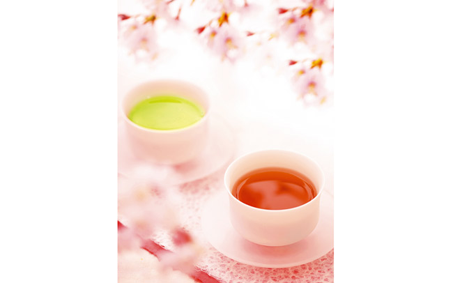 桜舞う春の大茶会、横浜で開催