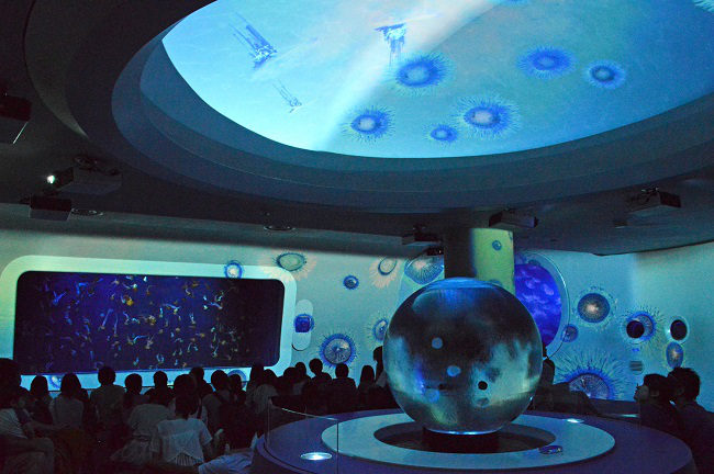 新江ノ島水族館　7、8月イベント　クラゲショー「海月の宇宙～夏～」
