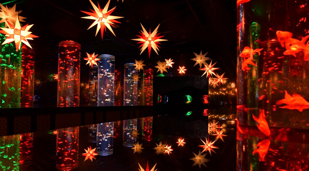金魚が織りなす冬景色にうっとり。アートアクアリウム美術館 GINZAで「星降る銀座のクリスマス」開催