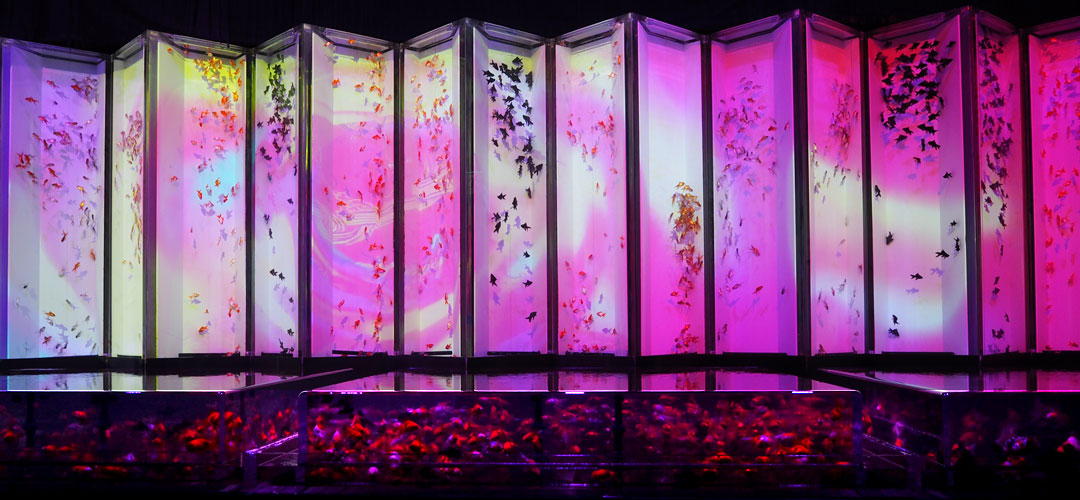 金魚と光と芸術が踊る異空間へトリップ。「日本橋 アートアクアリウム2018」