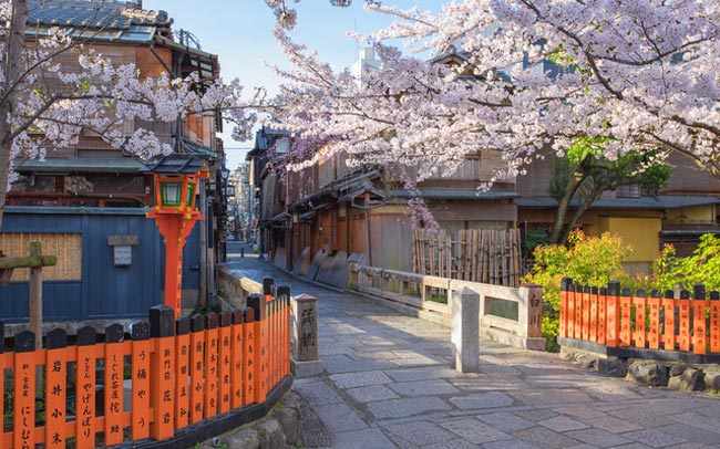 春はもうすぐ。何度でも行きたい京都特集