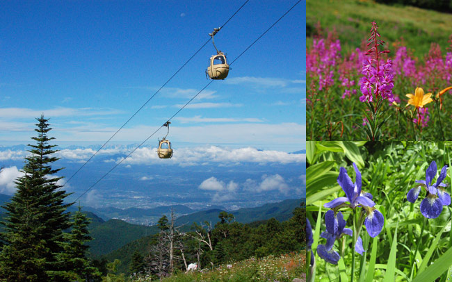 長野県・北信濃エリア：山岳・高原トリップ