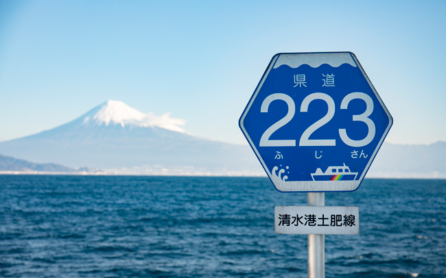 富士山＆駿河湾を望むのんびり自転車さんぽ