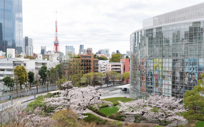 東京お花見特集2024！桜の名所や穴場を紹介