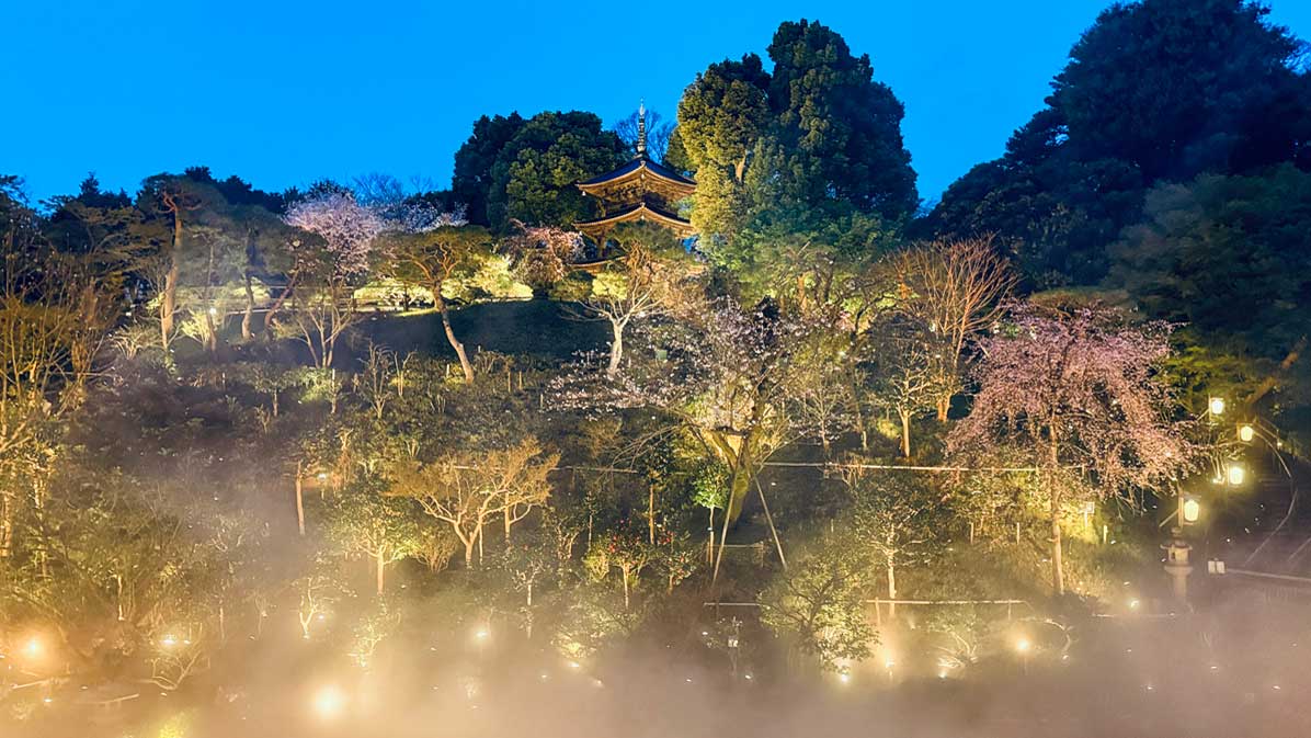 日夜不同的賞櫻體驗！東京椿山莊大飯店「夜櫻雲海」春季限定演出