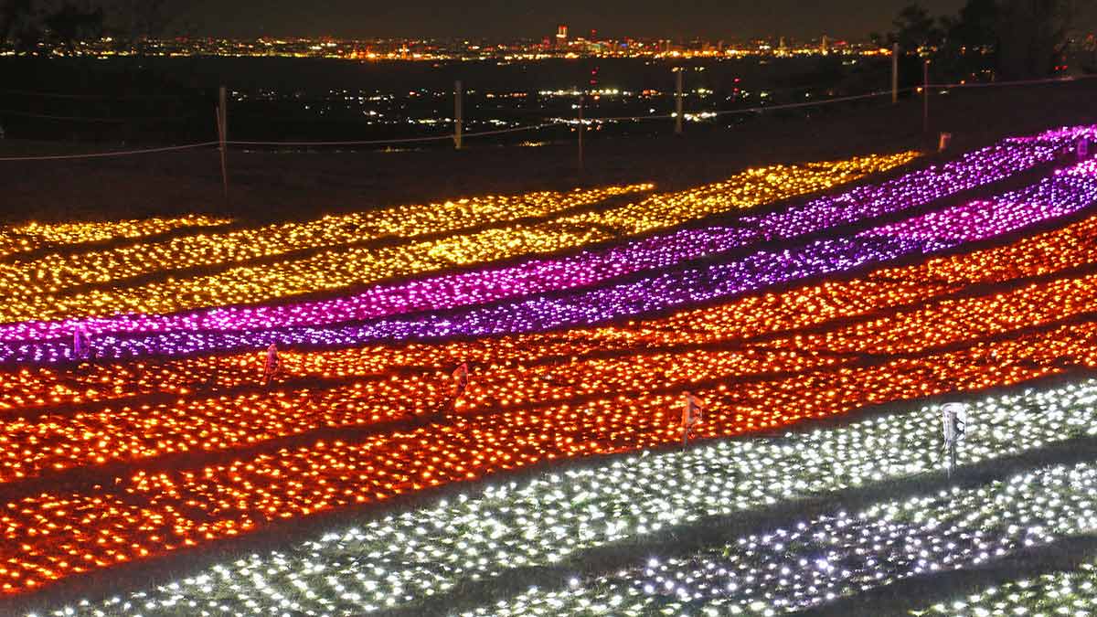 東京湾夜景とイルミネーションが共演する絶景も。「マザー牧場 イルミネーション 光の花園 ～絵本の世界～」