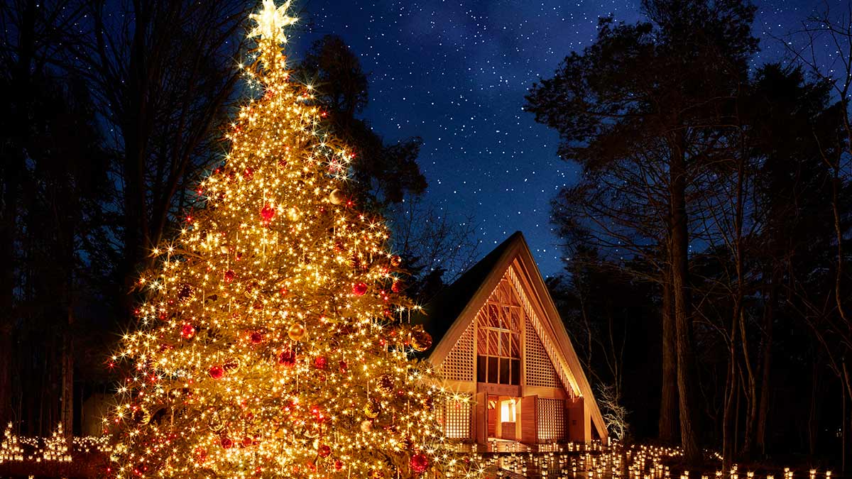 「軽井沢高原教会 星降る森のクリスマス」。6mのきらびやかなクリスマスツリー、ランタンを片手に森の散策も