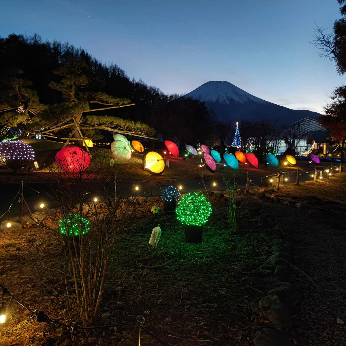 山中湖 花の都公園「2024イルミネーションファンタジウム」。ダイヤモンド富士もきらめく星々も堪能しよう