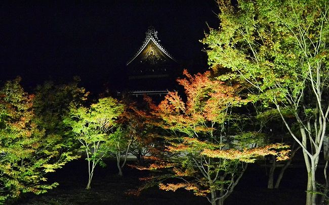 妙覺寺の紅葉ライトアップ