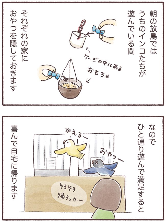 うちのインコたちは今日もおしゃべり3話１P