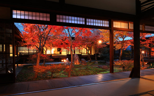 もうすぐ見頃も！12月も楽しめる京都の紅葉
