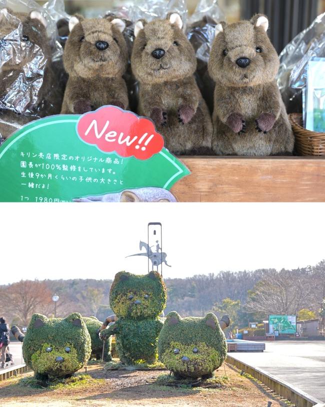 埼玉県こども動物自然公園、クオッカお土産、エントランス