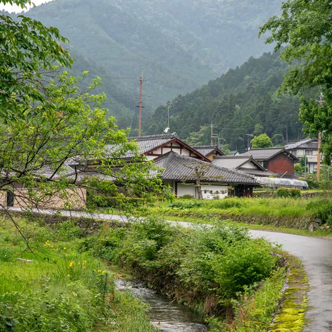 夏、初夏、旬、生産者、京都、大原、京都旅、創作、和食