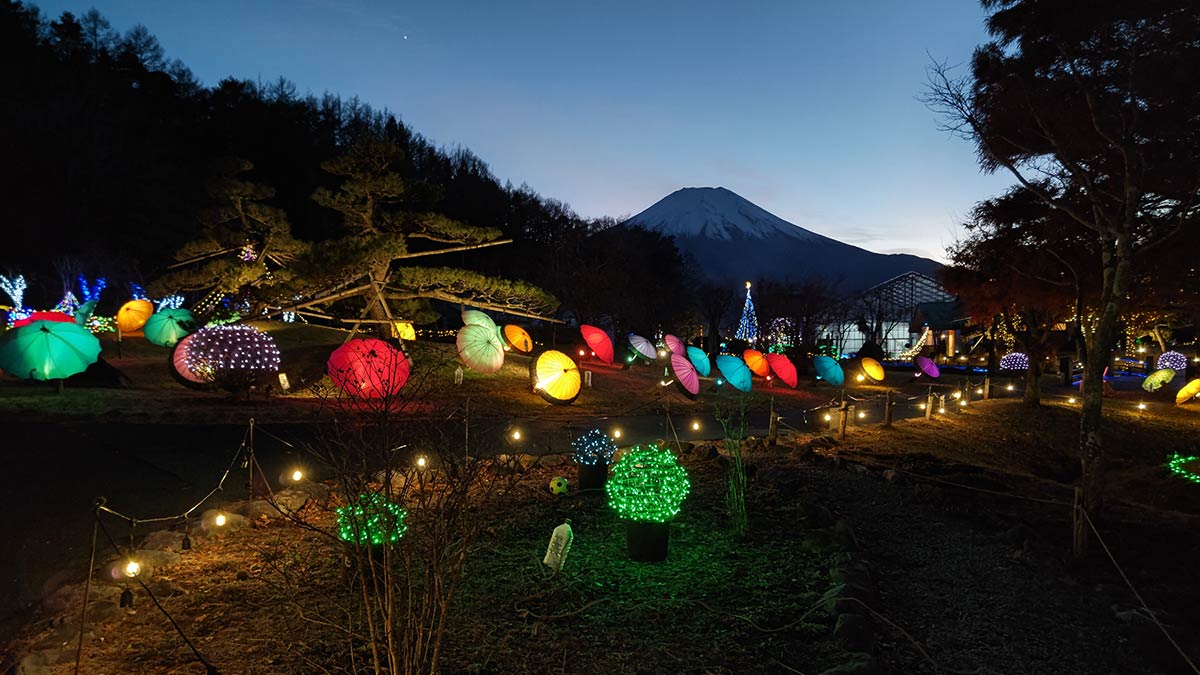 山中湖 花の都公園「2024イルミネーションファンタジウム」。ダイヤモンド富士もきらめく星々も堪能しよう