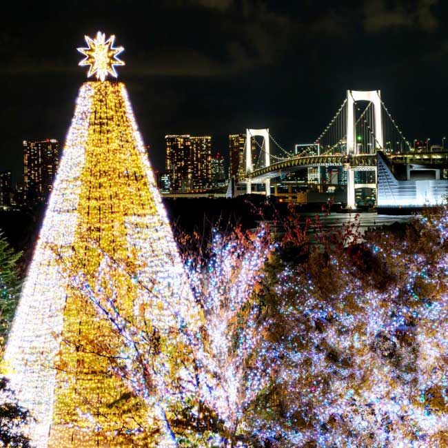 東京湾の夜景を一望できる都内屈指のイルミネーションスポット