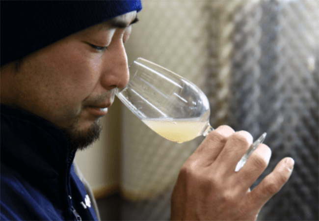 日本ワイン,長野,カーヴハタノ,cavehatano