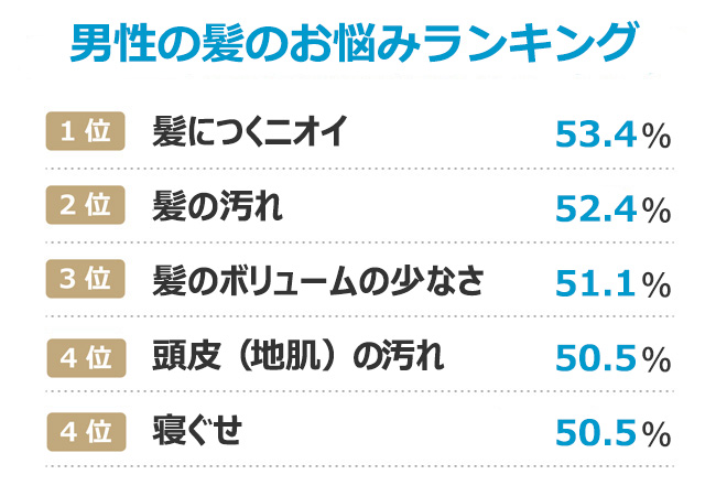 サクセスシャンプー ボリュームアップタイプ