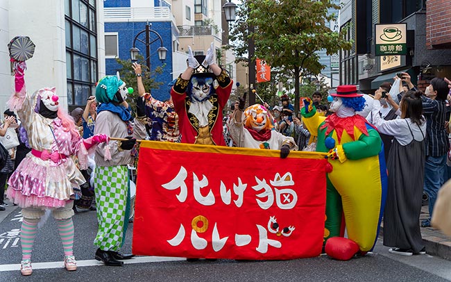 猫版のハロウィン祭りが神楽坂で開催！